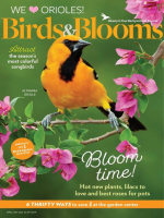 Birds___Blooms_magazine